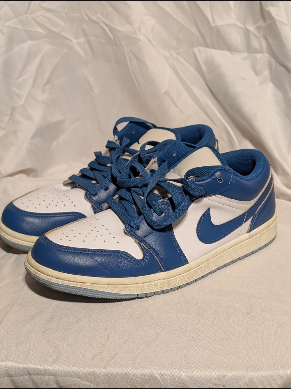 Nike Blue and White Low-Top Sneaker
